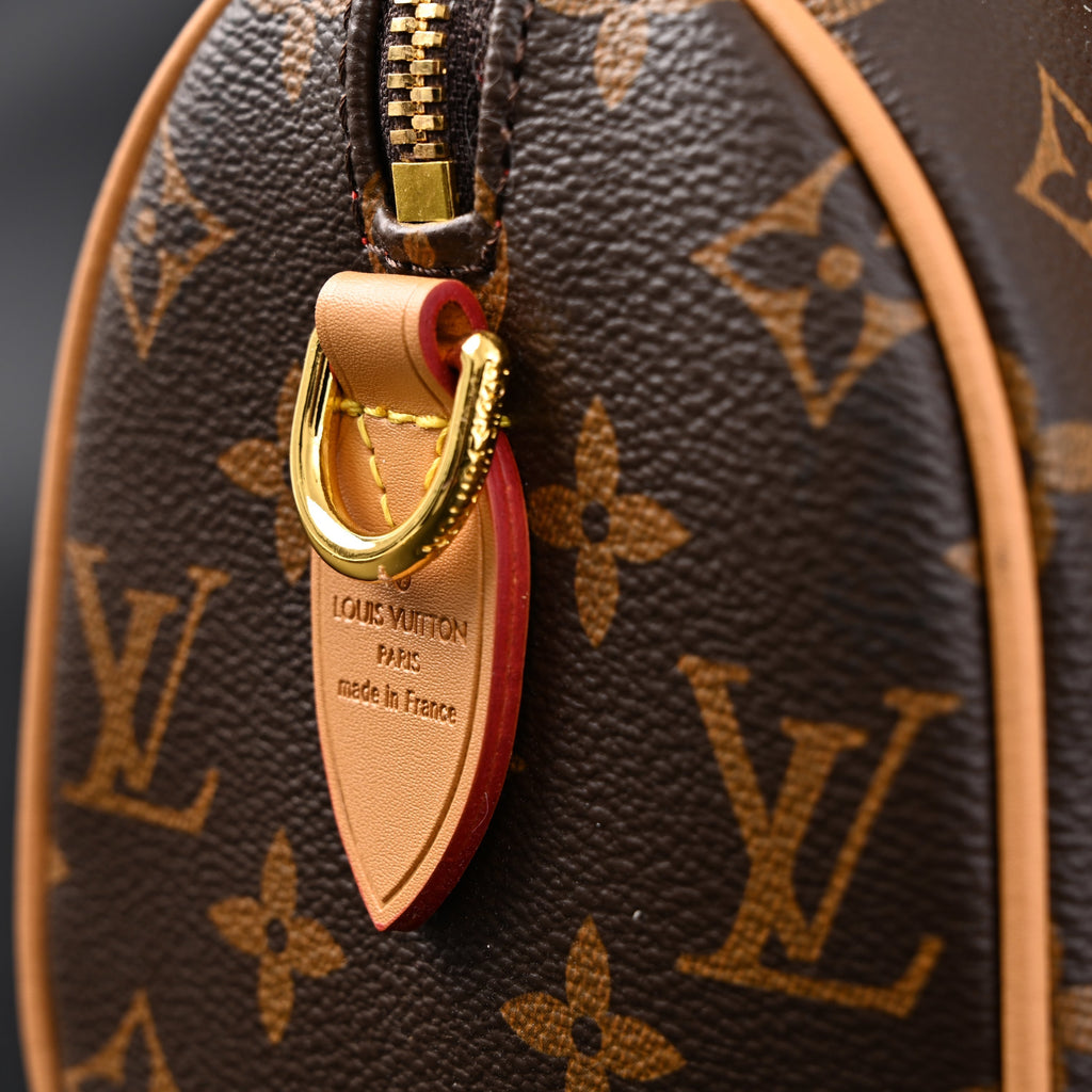 Louis Vuitton Speedy Bandoulière 25 Monogram Canvas